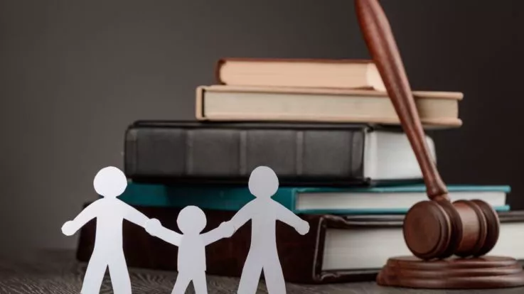 How an Adoption Lawyer Can Help You